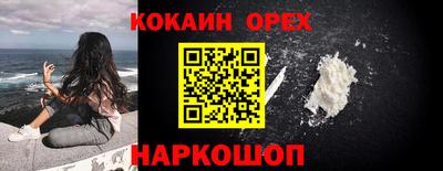 шишки Новозыбков