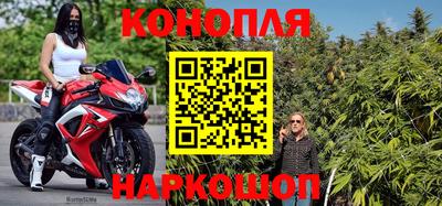шишки Новозыбков