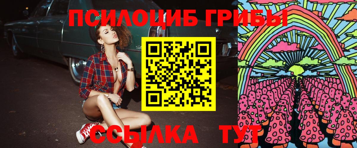 Псилоцибиновые грибы Cubensis  Вход с VPN  как найти закладки  Родники 